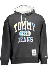 Джемпер мужской Tommy Hilfiger цена и информация | Мужские толстовки | pigu.lt
