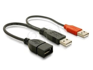 Delock - Przedłużacz USB 2.0 2xA(M)-A(F) kaina ir informacija | USB laikmenos | pigu.lt