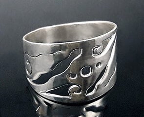 Серебряное кольцо - размер #17.5 цена и информация | Кольцо | pigu.lt
