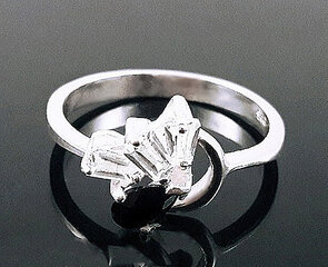 Серебряное кольцо с цирконием - размер #19 цена и информация | Кольца | pigu.lt