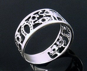 Серебряное кольцо - размер #19 цена и информация | Кольцо | pigu.lt