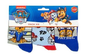 Kojinės PAW Patrol, 3 vnt kaina ir informacija | Kojinės, pėdkelnės berniukams | pigu.lt