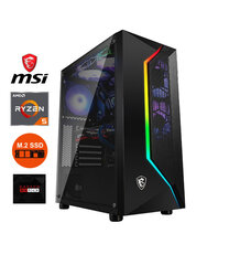 Стационарный компьютер MSI Vampiric 100R Ryzen 5 5600X 8GB DDR4 512GB SSD M2 1TB HDD RX 560 4GB Windows 10 цена и информация | Стационарные компьютеры | pigu.lt