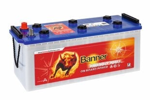 Gilaus iškrovimo akumuliatorius Banner 130Ah Energy Bull 12V 514x189x195/220 mm цена и информация | Аккумуляторы | pigu.lt