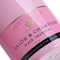 Plaukų purškiklis šampano rožinės spalvos, 350 ml kaina ir informacija | Baldai grožio salonams | pigu.lt