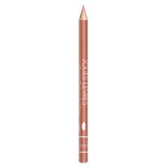 Карандаш для губ Vivienne Sabo Lip Pencil Jolies Lèvres 102 Rose nude цена и информация | Помады, бальзамы, блеск для губ | pigu.lt