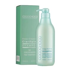 Giliai valantis šampūnas Cocochoco, 1 l. kaina ir informacija | Šampūnai | pigu.lt