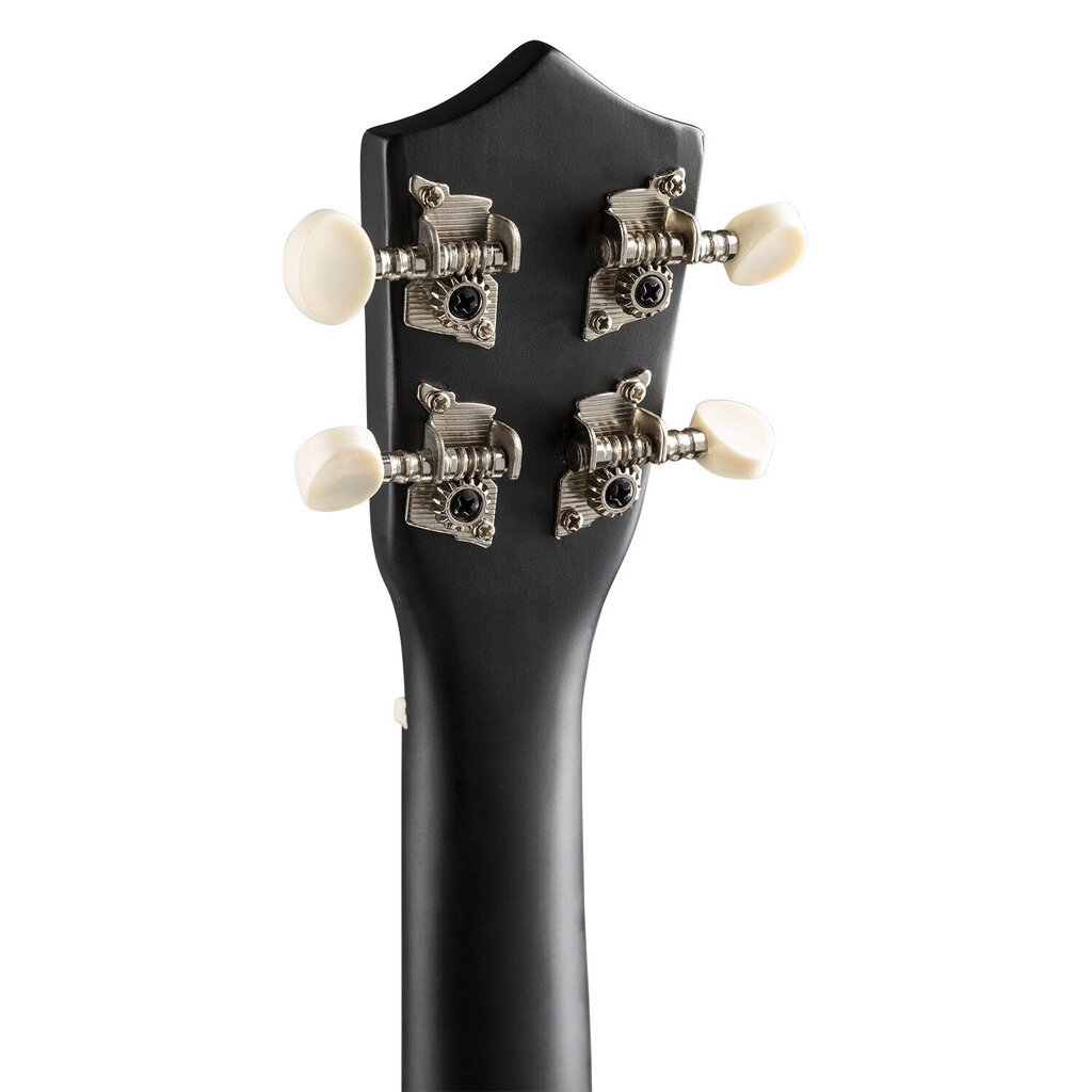 Soprano ukulelės rinkinys MAX UKEY 21" цена и информация | Gitaros | pigu.lt