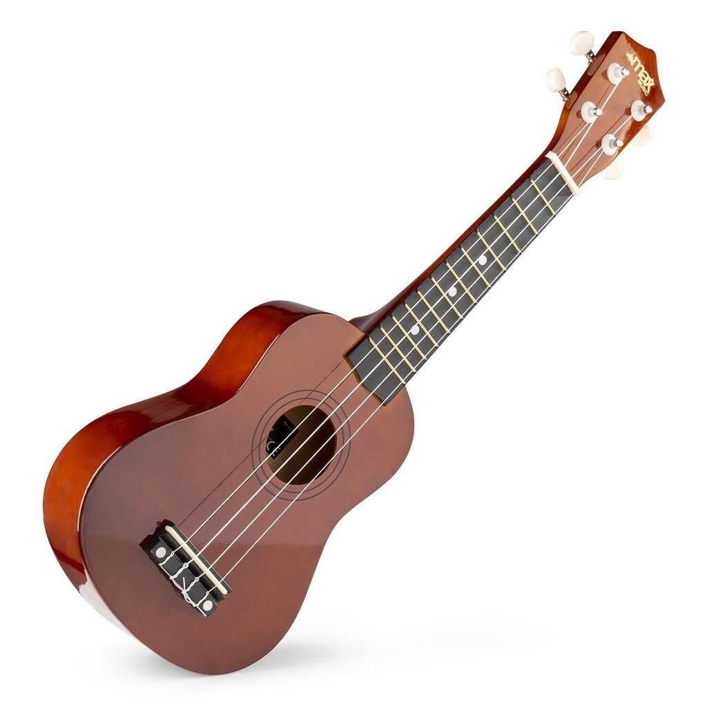 Soprano ukulelės rinkinys MAX UKEY 21" kaina ir informacija | Gitaros | pigu.lt