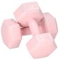 Svarmenys Springos FA1063, 2x2 kg, rožiniai kaina ir informacija | Svoriai, svarmenys, štangos | pigu.lt