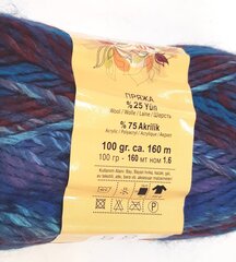 Нитки для вязания Lanoso Mistik 100 г, цвет 726 цена и информация | Принадлежности для вязания | pigu.lt