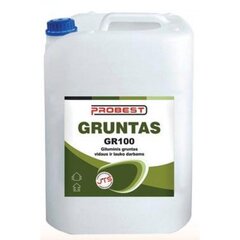 Gruntas Probest GR 100 5L kaina ir informacija | Gruntai, glaistai ir kt. | pigu.lt