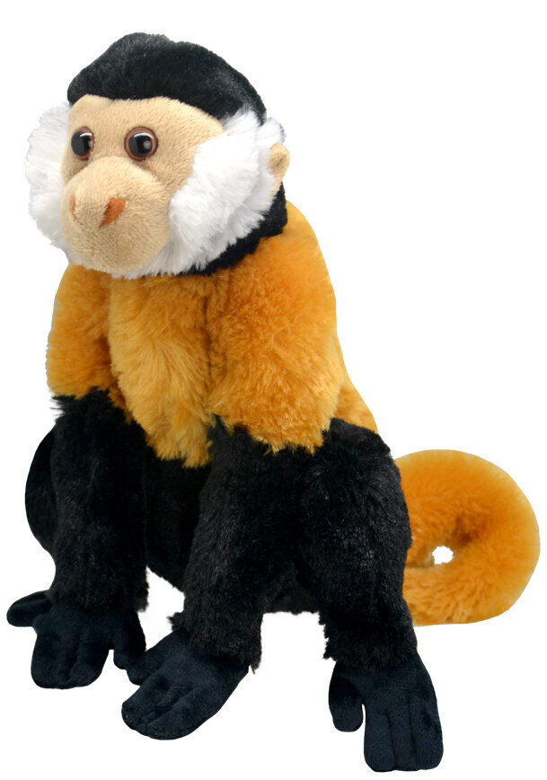 Minkštas žaislas beždžionė Wild Planet, 30 cm kaina ir informacija | Minkšti (pliušiniai) žaislai | pigu.lt