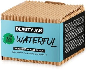 Крем увлажняющий Beauty Jar Waterful, 60 мл цена и информация | Кремы для лица | pigu.lt