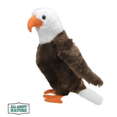 Мягкая игрушка Wild Planet Орёл, 35 см цена и информация | Мягкие игрушки | pigu.lt
