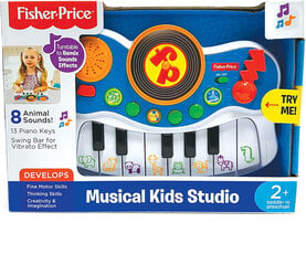 Fisher-Price Музыкальная студия цена и информация | Развивающие игрушки | pigu.lt