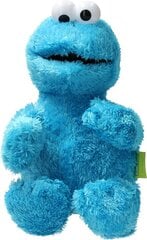 Minkštas žaislas Cookie Monster 38 cm kaina ir informacija | Minkšti (pliušiniai) žaislai | pigu.lt