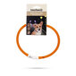 LED antkaklis Beeztees Dogini, 70 cm, oranžinis kaina ir informacija | Antkakliai, petnešos šunims | pigu.lt