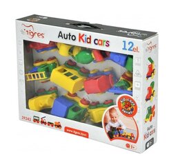 Mašinų komplektas 12 vnt. kaina ir informacija | Žaislai berniukams | pigu.lt