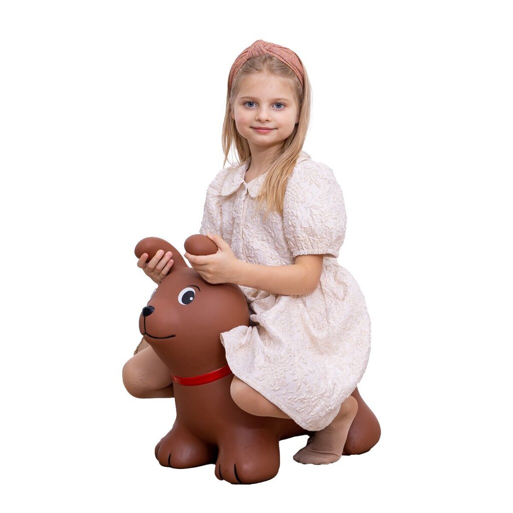 Gerardo's Toys šokinėjantis gyvūnas - rudas šuniukas цена и информация | Vandens, smėlio ir paplūdimio žaislai | pigu.lt
