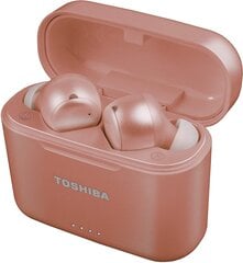 Toshiba RZE-BT750E цена и информация | Теплая повязка на уши, черная | pigu.lt