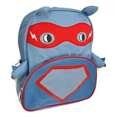 Kuprinė Superherojus kaina ir informacija | Kuprinės ir krepšiai | pigu.lt