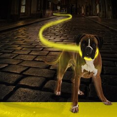 Šviečiantis Antkaklis Usb Duvoplus, 50-70 cm, geltonas kaina ir informacija | Antkakliai, petnešos šunims | pigu.lt