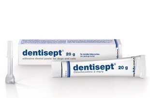 Липкая зубная паста для питомцев Dentisept, 20 г цена и информация | Средства по уходу за животными | pigu.lt