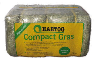 Травяная смесь Hartog Compact Grass для лошадей, 18 кг цена и информация | Фураж для сельскохозяйственных животных | pigu.lt