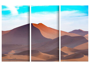 Trijų dalių paveikslas Dykuma, 150x100 cm, Wolf Kult kaina ir informacija | Reprodukcijos, paveikslai | pigu.lt