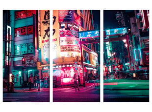 Trijų dalių paveikslas Tokijo Gatvės, 150x100 cm, Wolf Kult kaina ir informacija | Reprodukcijos, paveikslai | pigu.lt