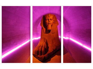 Trijų dalių paveikslas Sfinksas, 150x100 cm, Wolf Kult kaina ir informacija | Reprodukcijos, paveikslai | pigu.lt