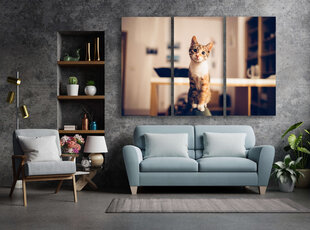 Trijų dalių paveikslas Smalsi Katė, 150x100 cm, Wolf Kult kaina ir informacija | Reprodukcijos, paveikslai | pigu.lt