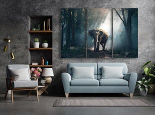 Trijų dalių paveikslas Dramblys, 150x100 cm, Wolf Kult kaina ir informacija | Reprodukcijos, paveikslai | pigu.lt