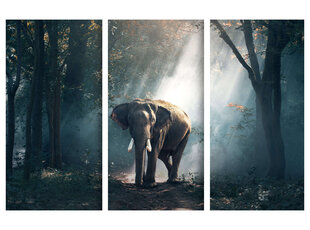 Триптих Слон, 150x100 см, Wolf Kult цена и информация | Репродукции, картины | pigu.lt