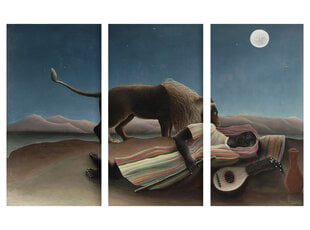 Trijų dalių paveikslas The Sleeping Gypsy, Henri Rousseau, 150x100 cm, Wolf Kult kaina ir informacija | Reprodukcijos, paveikslai | pigu.lt