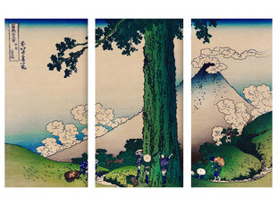 Trijų dalių paveikslas Mishima Pass in Kai Province, Katsushika Hokusai, 150x100 cm, Wolf Kult kaina ir informacija | Reprodukcijos, paveikslai | pigu.lt