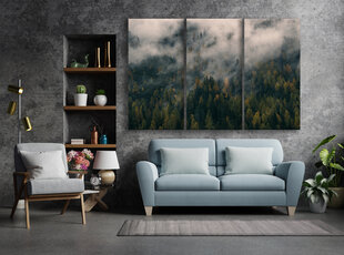 Триптих Лес в тумане, 120x80 см, Wolf Kult цена и информация | Репродукции, картины | pigu.lt