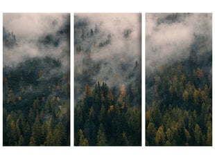 Триптих Лес в тумане, 120x80 см, Wolf Kult цена и информация | Репродукции, картины | pigu.lt
