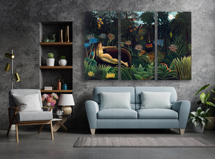 Trijų dalių paveikslas The Dream, Henri Rousseau, 120x80 cm, Wolf Kult kaina ir informacija | Reprodukcijos, paveikslai | pigu.lt