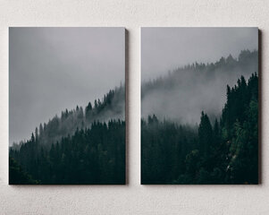 Dviejų dalių paveikslas Ūkanotas Miškas, 140x100 cm, Wolf Kult kaina ir informacija | Reprodukcijos, paveikslai | pigu.lt