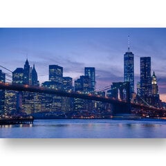 Картина Панорама Манхэттена, 100x70 см, Wolf Kult цена и информация | Репродукции, картины | pigu.lt