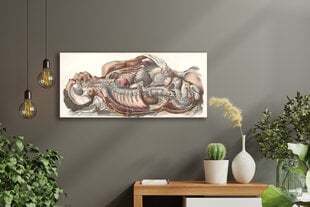 Картина Анатомия человека, 100x70 см, Wolf Kult цена и информация | Репродукции, картины | pigu.lt