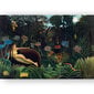 Paveikslas The Dream, Henri Rousseau, 100x70 cm, Wolf Kult kaina ir informacija | Reprodukcijos, paveikslai | pigu.lt