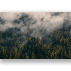 Картина Лес в тумане, 60x80 см, Wolf Kult цена и информация | Репродукции, картины | pigu.lt