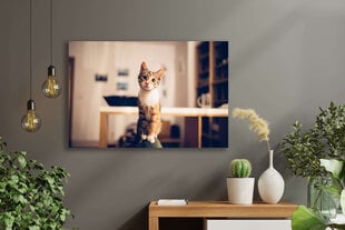 Картина Любопытная кошка, 60x80 см, Wolf Kult цена и информация | Репродукции, картины | pigu.lt