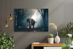 Paveikslas Dramblys, 60x80 cm, Wolf Kult kaina ir informacija | Reprodukcijos, paveikslai | pigu.lt