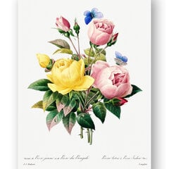 Paveikslas Vintažinės Gėlės II, 60x80 cm, Wolf Kult kaina ir informacija | Reprodukcijos, paveikslai | pigu.lt