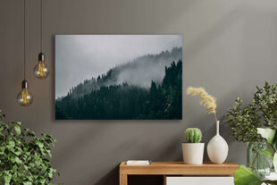 Paveikslas Ūkanotas Miškas, 40x60 cm, Wolf Kult kaina ir informacija | Reprodukcijos, paveikslai | pigu.lt