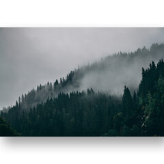 Картина Туманный лес, 40x60 см, Wolf Kult цена и информация | Репродукции, картины | pigu.lt